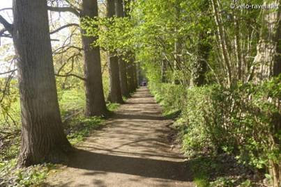 2019-04-18 Bois du Laerbeek vlo 09